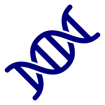 An icon of a strand of DNA.