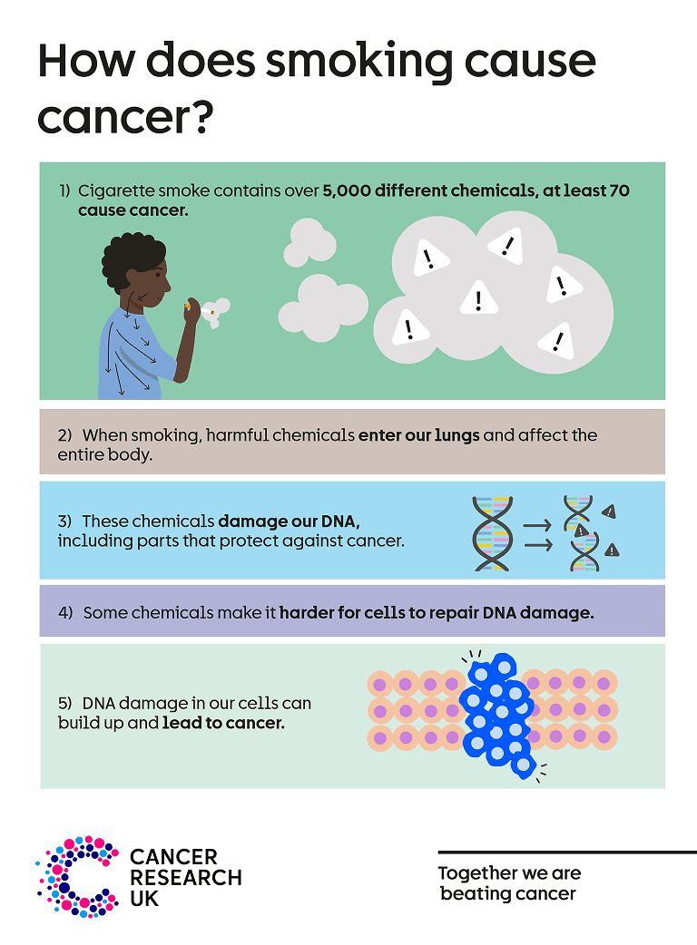 DNA is found in all our cells and controls how they behave. Even one cigarette can damage DNA. DNA damage can lead to cancer.