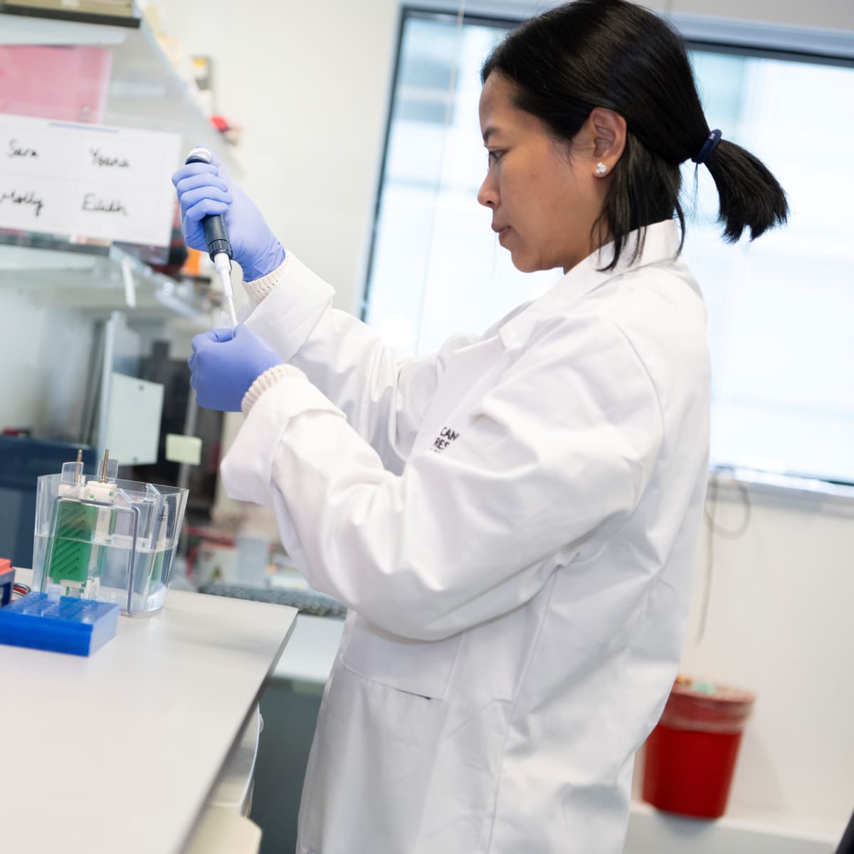 Researcher working in the lab.