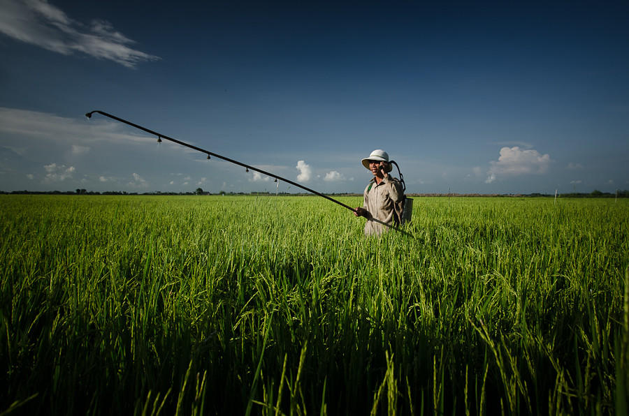 person spraying pesticides